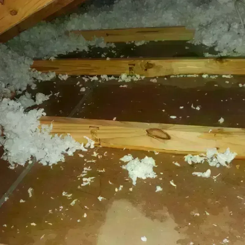 Attic Water Damage in Delcambre, LA